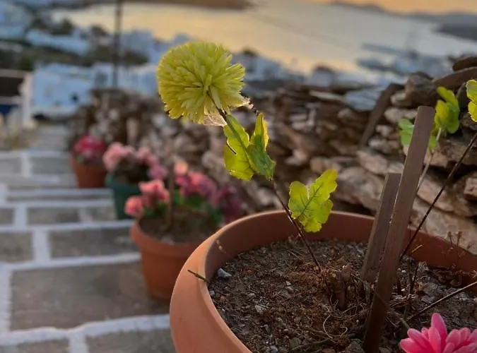 Christina 2 Merichas